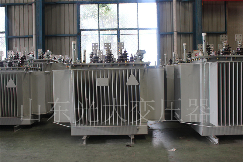 嘉鱼S20-500KVA/10KV